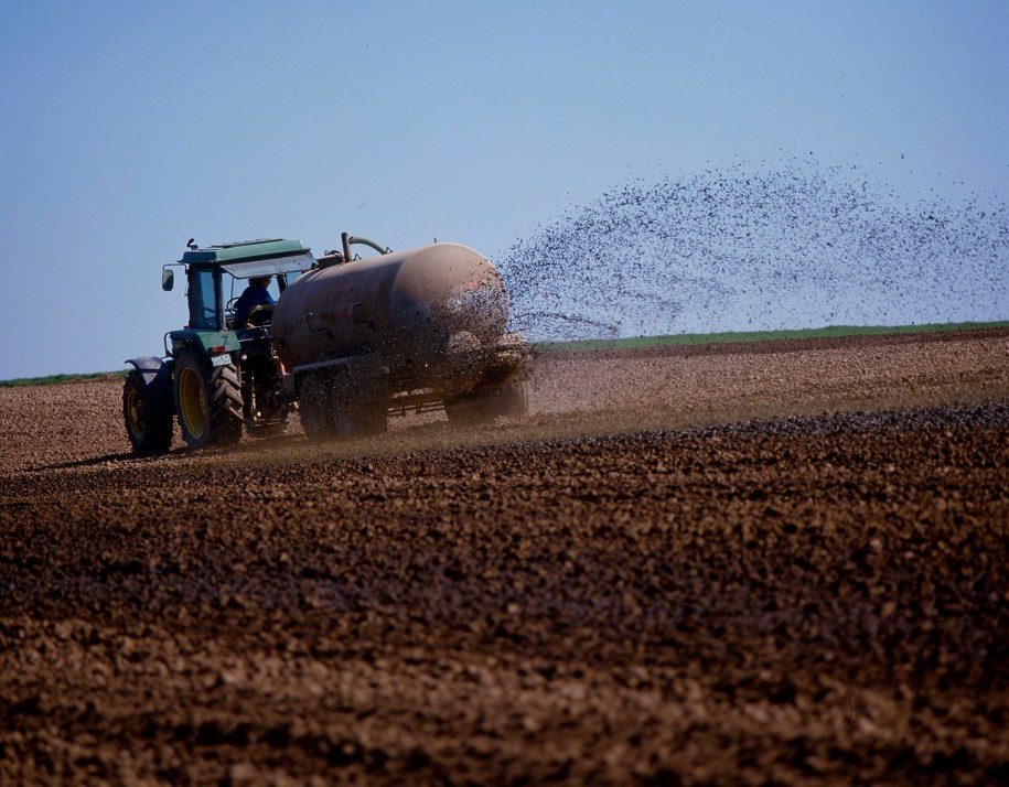 Rolnicy przed supermarketami wyrzucali obornik / 	Geduldig    /PAP/EPA