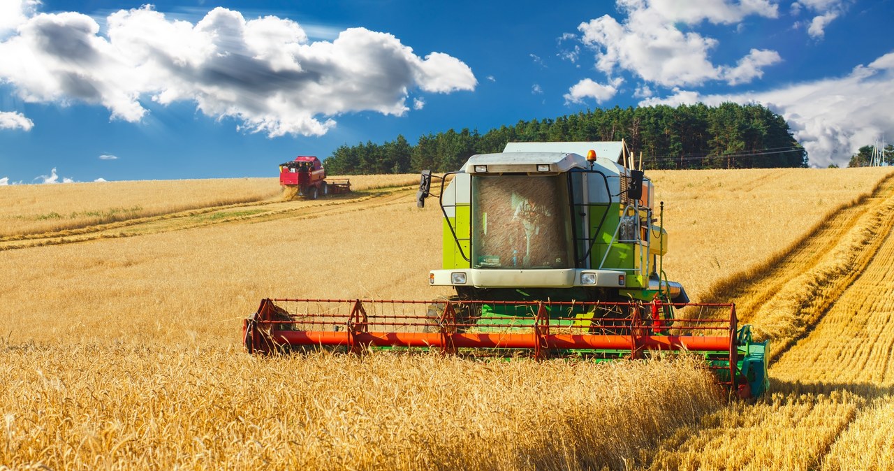 Rolnicy są traktowani jak przedsiębiorcy tylko dlatego, że posiadają gospodarstwo rolne /123RF/PICSEL