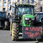 Rolnicy w traktorach protestują przeciwko ograniczeniom stosowania pestycydów