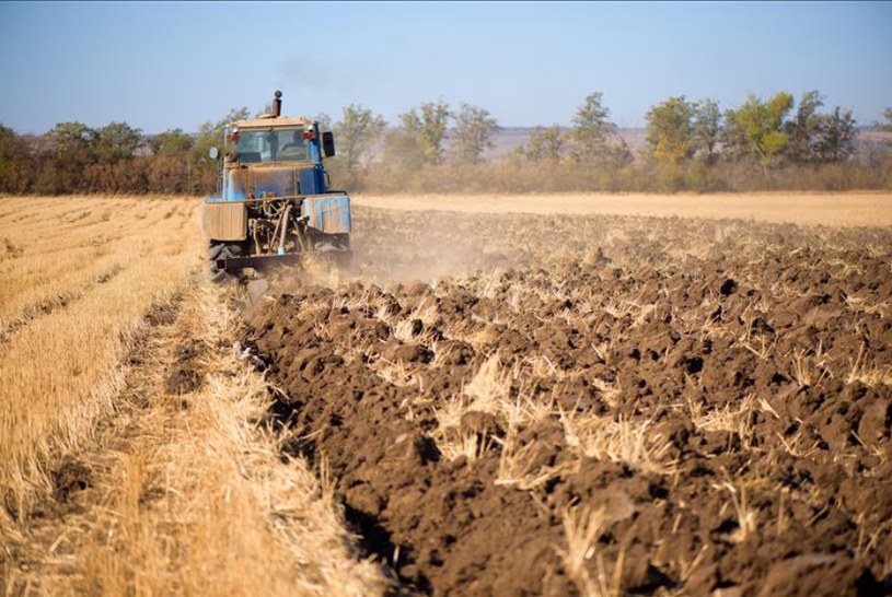 Rolnicy w Ukrainie nie będą w stanie obsiać jednej piątej pól w tym roku /123RF/PICSEL