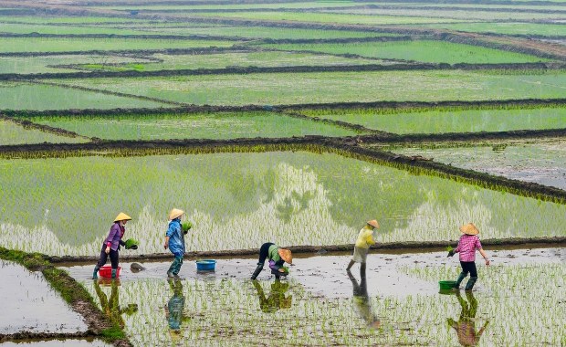 Rolnicy wywłaszczeni za drobne. Pole golfowe Trumpa zamiast pól uprawnych