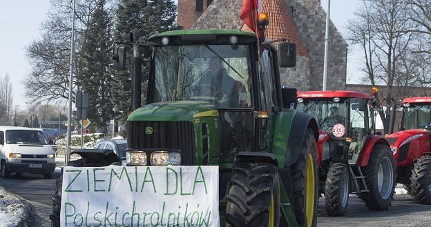 Rolnicy z województwa kujawsko-pomorskiego na ciągnikach protestują na ulicach Inowrocławia /PAP