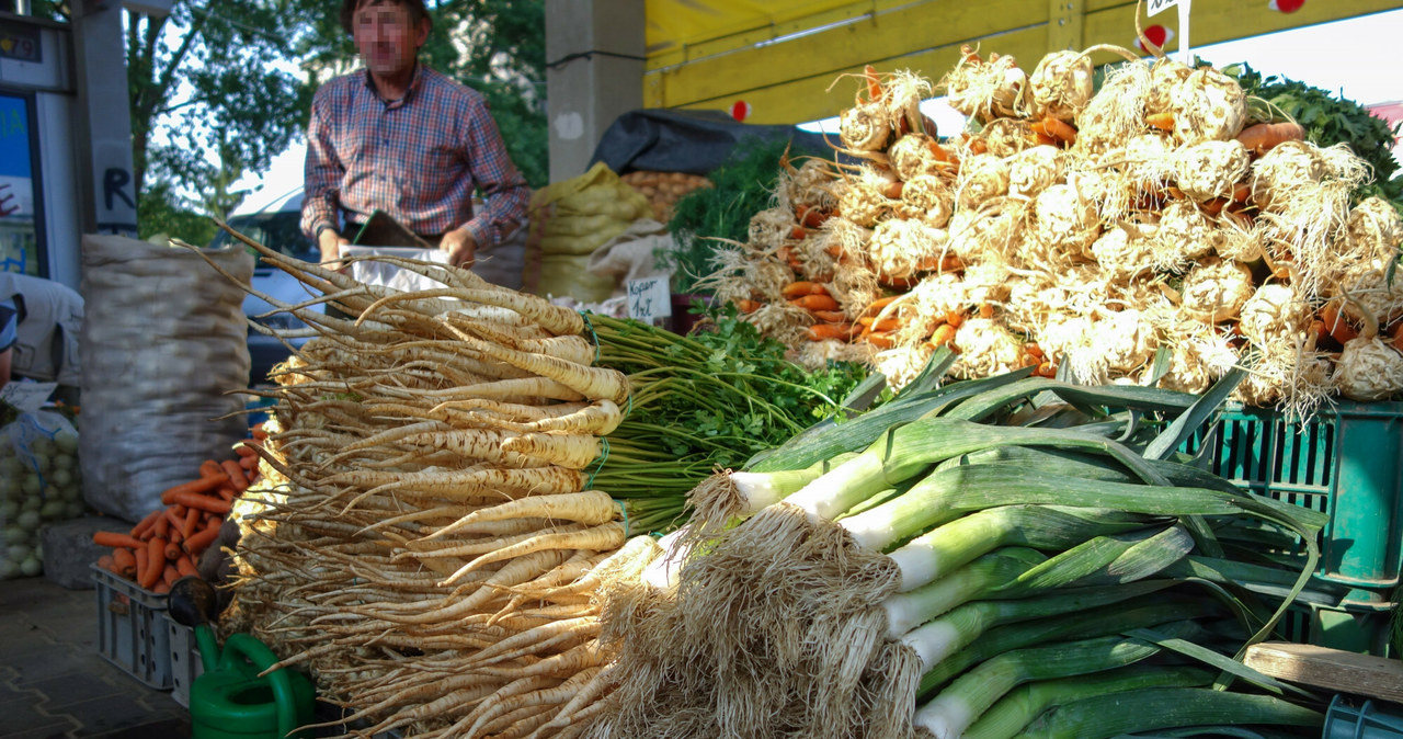 Rolnicy zaczynają odchodzić od warzyw na rzecz zbóż i roślin oleistych /Piotr Kamionka /Reporter