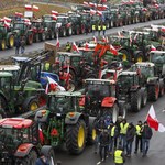 Rolnicy zamierzają zablokować największe polskie miasta. Zdradzili swój plan
