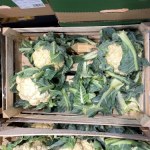 plony Rolnik sprzedaje plony prosto z pola, mnóstwo zainteresowanych. "Coś pięknego"