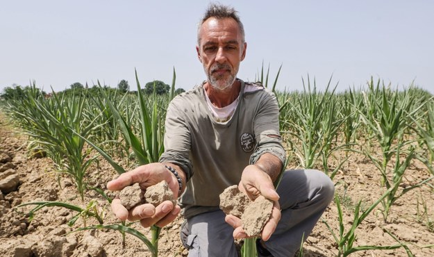 Rolnik Stefano Lanzoni  pokazujący skalę suszy na swoim polu /FILIPPO VENEZIA /PAP/EPA