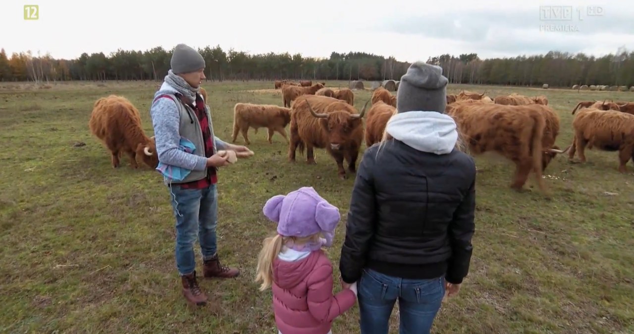 "Rolnik szuka żony 7": Paweł, Marta i Stefania /brak /materiały prasowe