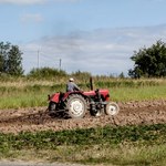 Rolnik z Jasła znalazł wyroby ze złota sprzed... 3,5-2 tys. lat