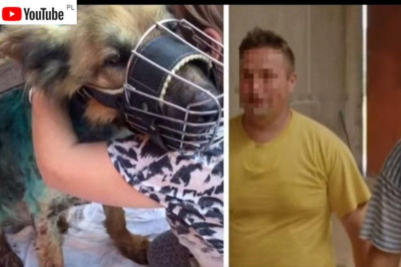 Rolnik z Podlasia został już wcześniej oskarżony o znęcanie się nad psem /YouTube