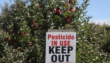 Rolnik zatruty pestycydami otrzyma odszkodowanie od koncernu Bayer