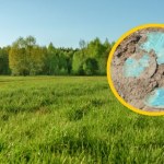 Rolnik znalazł skarb wart fortunę. Niezwykłe odkrycie na Mazurach