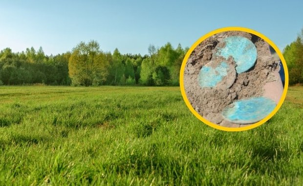 Rolnik znalazł skarb wart fortunę. Niezwykłe odkrycie na Mazurach
