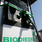 Roman Karkosik wchodzi w biopaliwa