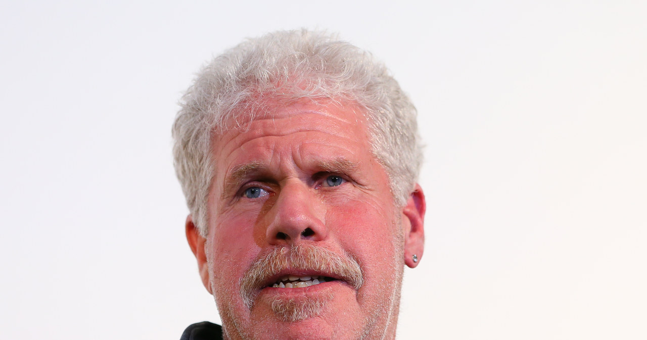 Ron Perlman nie przebiera w słowach /JB Lacroix /Getty Images