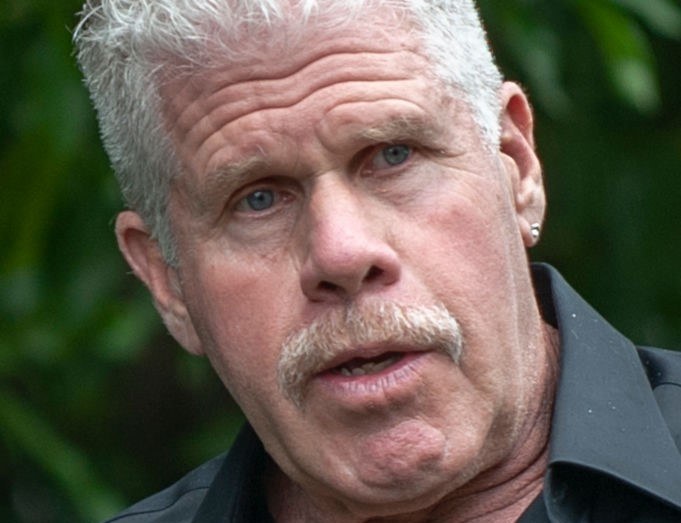 Ron Perlman zasłyną rolą w filmie "Hellboy" /Robert Marquardt /Getty Images