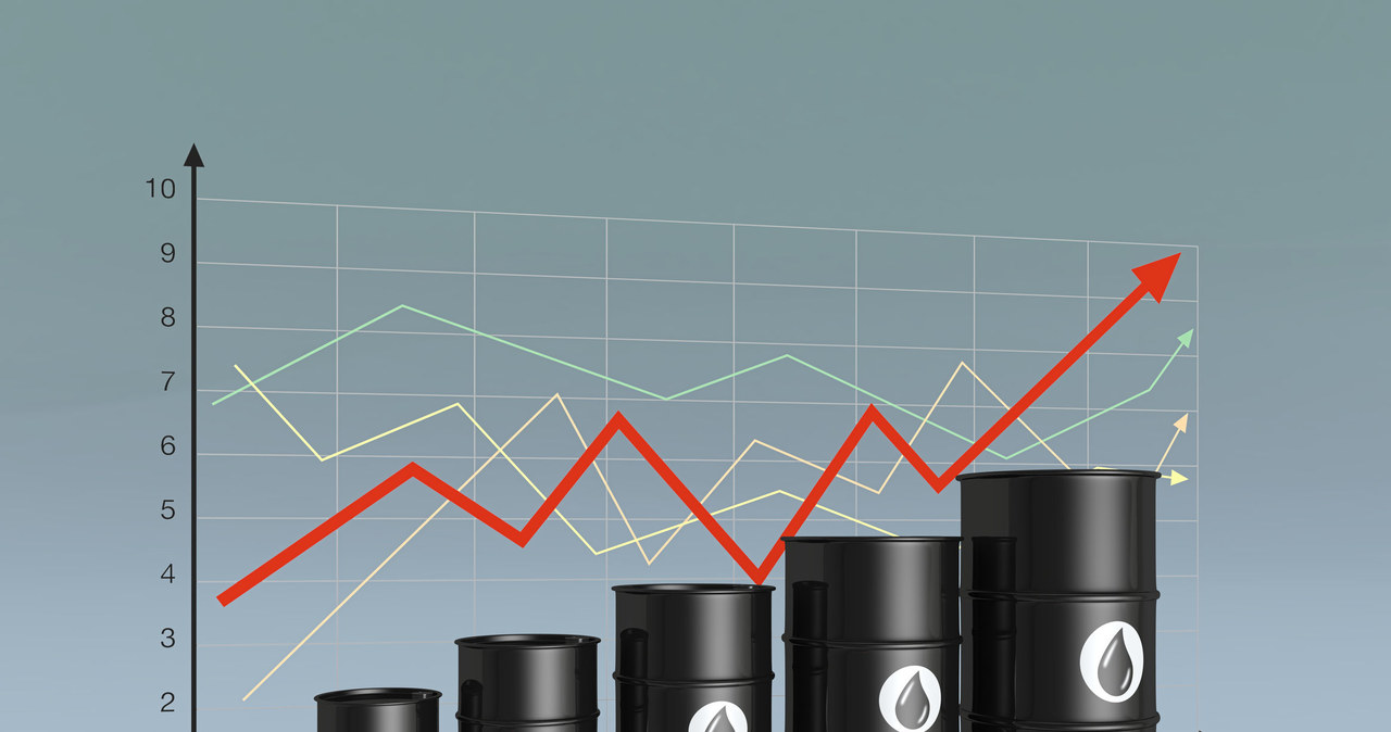 Ropa pod presją umowy OPEC /123RF/PICSEL
