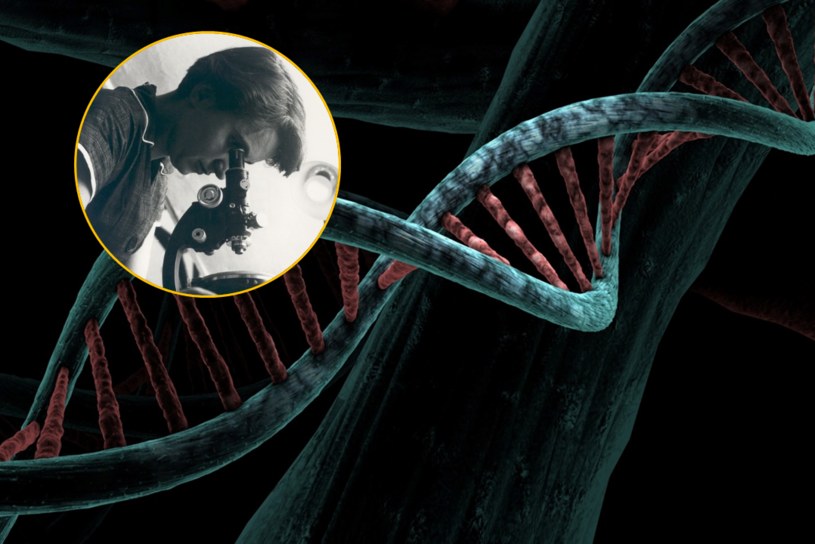 Rosalind Franklin - niedoceniona badaczka DNA /MRC Laboratory of Molecular Biology/CC BY-SA 4.0 /Pixabay.com
