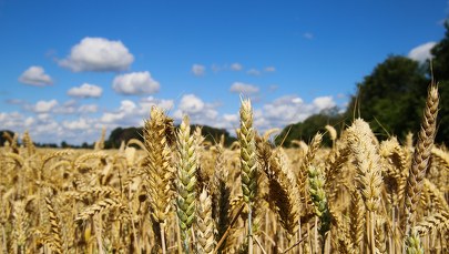 Rosja blokuje porty Ukrainy. Co to oznacza dla świata?