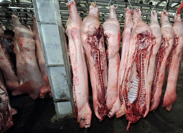 Rosja grozi embargiem na polskie mięso /AFP