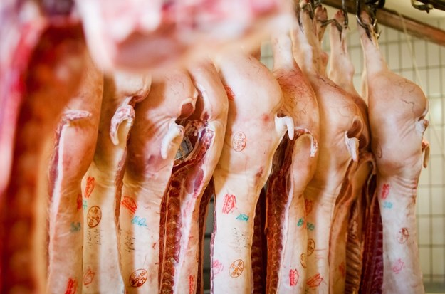 Rosja ma zastrzeżenia do polskiego mięsa /Juergen Feichter  /PAP/EPA
