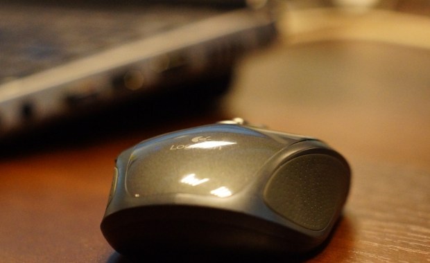 Rosja na celowniku cyberprzestępców? Wirus zaatakował oprogramowania rosyjskich instytucji