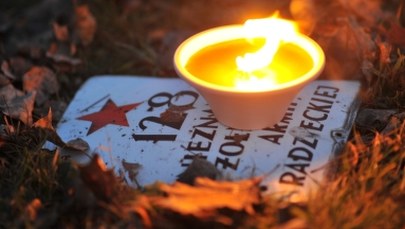 Rosja oburzona profanacją grobów w Garwolinie. "W Polsce trwają bachanalia" 