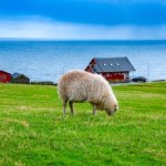 Rosja ostrzegła Wyspy Owcze: "Wysłaliśmy list". Morskie szpiegostwo w tle