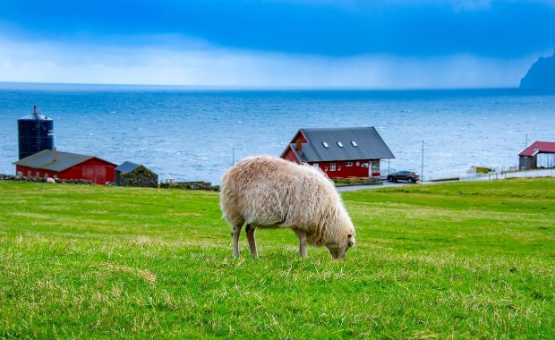 Rosja ostrzegła Wyspy Owcze: "Wysłaliśmy list". Morskie szpiegostwo w tle