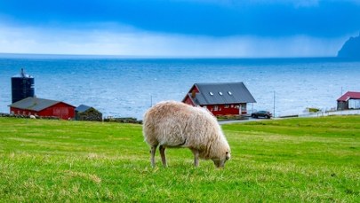 Rosja ostrzegła Wyspy Owcze: "Wysłaliśmy list". Morskie szpiegostwo w tle