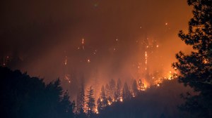 Rosja płonie. Przez wojnę w Ukrainie nie ma kto gasić pożarów lasów