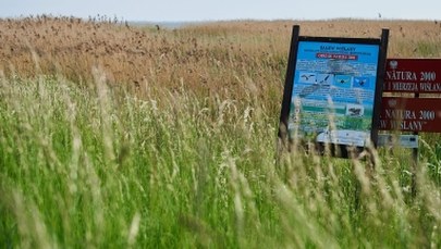Rosja protestuje przeciwko planom przekopu Mierzei Wiślanej. To jeden z głównych projektów rządu PiS