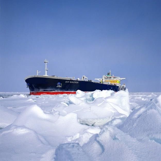 Rosja stawia na Arktykę /AFP