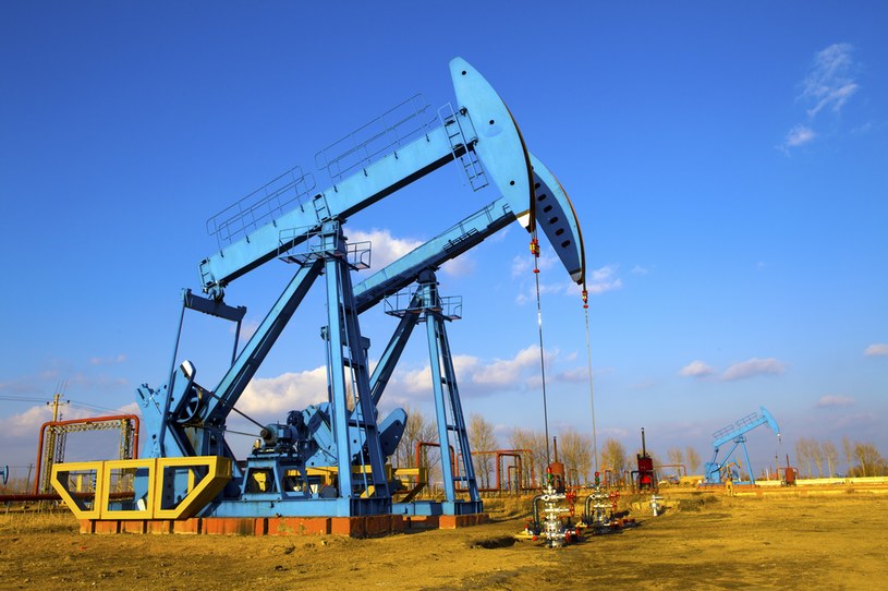Rosja straszy fikcyjną ceną ropy naftowej 300 dolarów za baryłkę /123RF/PICSEL