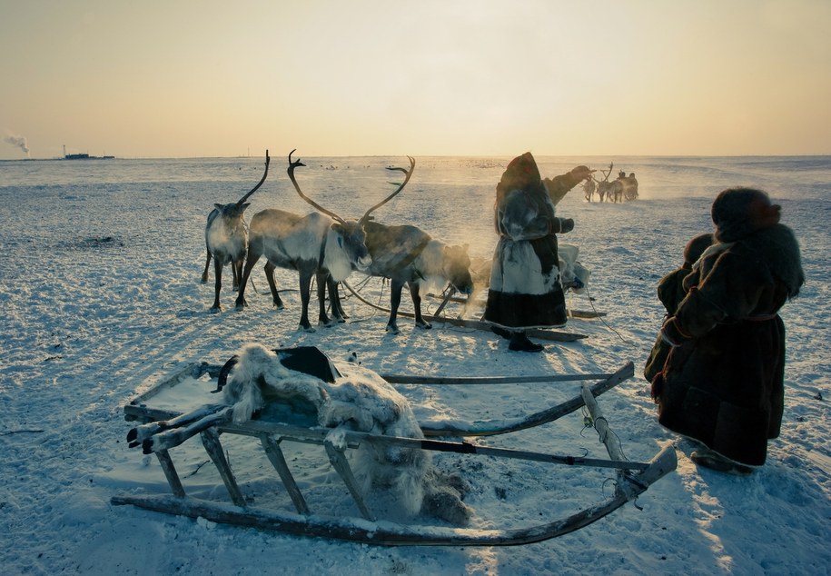 Rosja, tundra jamalska /Shutterstock