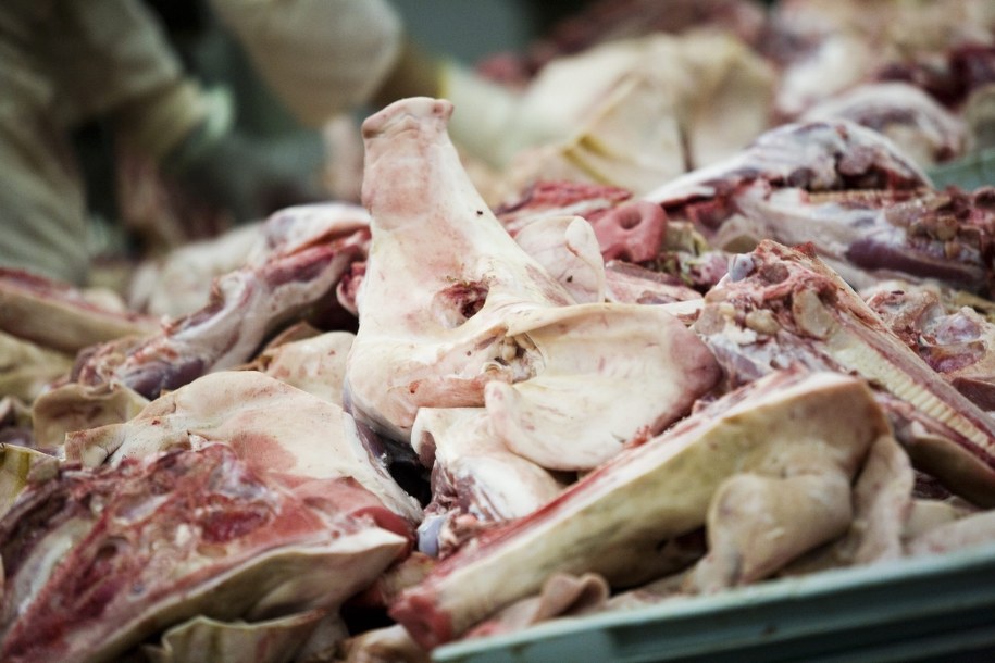 ABW zajmuje się skandalem z polską wieprzowiną