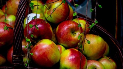 Rosjanie grożą Polakom kolejnym embargiem. Tym razem na owoce i warzywa