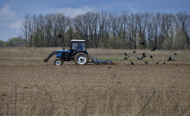 Rosjanie kradną zboże ukraińskim rolnikom. "Spadkobiercy architektów Wielkiego Głodu"