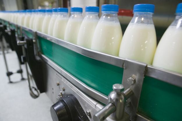 Rosjanie mają zastrzeżenia do polskiego mleka i wołowiny /&copy;123RF/PICSEL