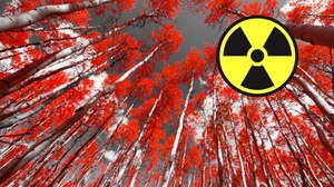 Rosjanie przekopują Czerwony Las, najbardziej skażony obszar Czarnobyla