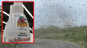 Rosjanie sprzedają spray przeciw zmutowanym komarom NATO