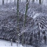 Rosjanie wysłali na front pierwsze "pancerne jeże". Drony nie mają szans