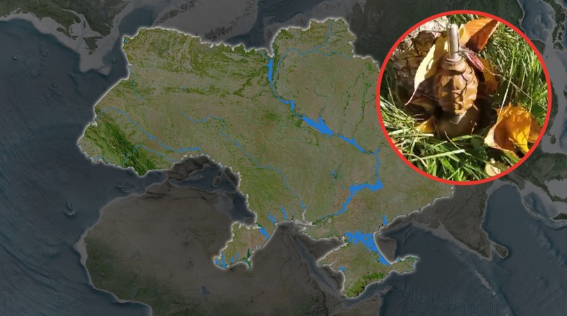 Rosjanie zostawiają pułapki w ukraińskich lasach. Przekonał się o tym jeden z tamtejszych grzybiarzy /123RF/PICSEL