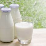 Roślinne alternatywy mleka