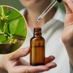 cryptolepis roślina lecznicza