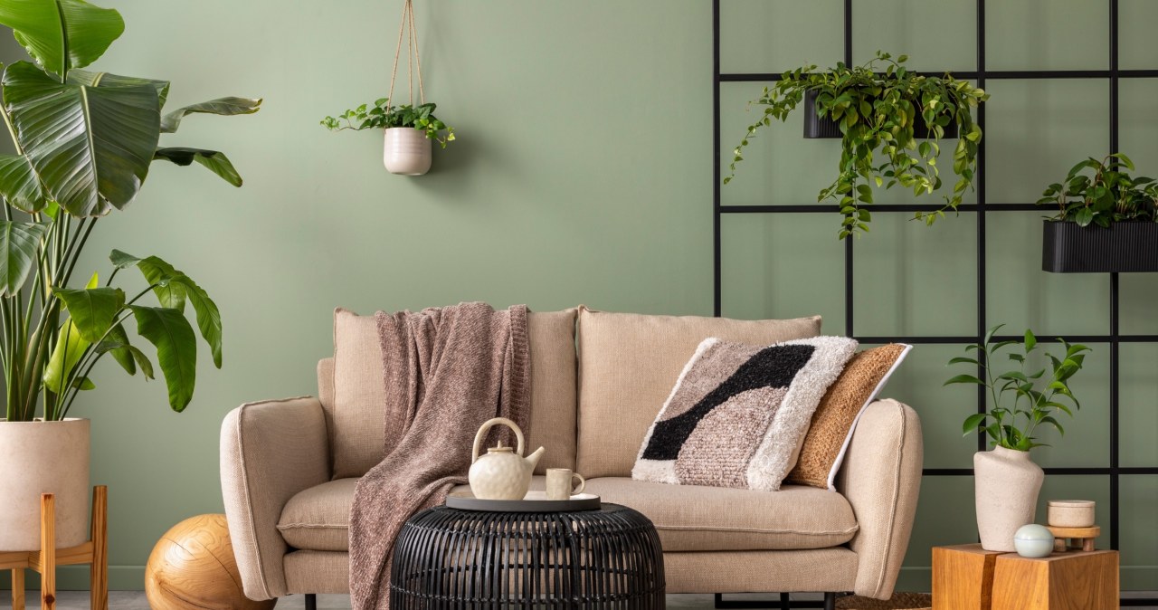 Rośliny są piękną ozdobą wnętrza i wprowadzają do niego przytulny oraz spokojny nastrój