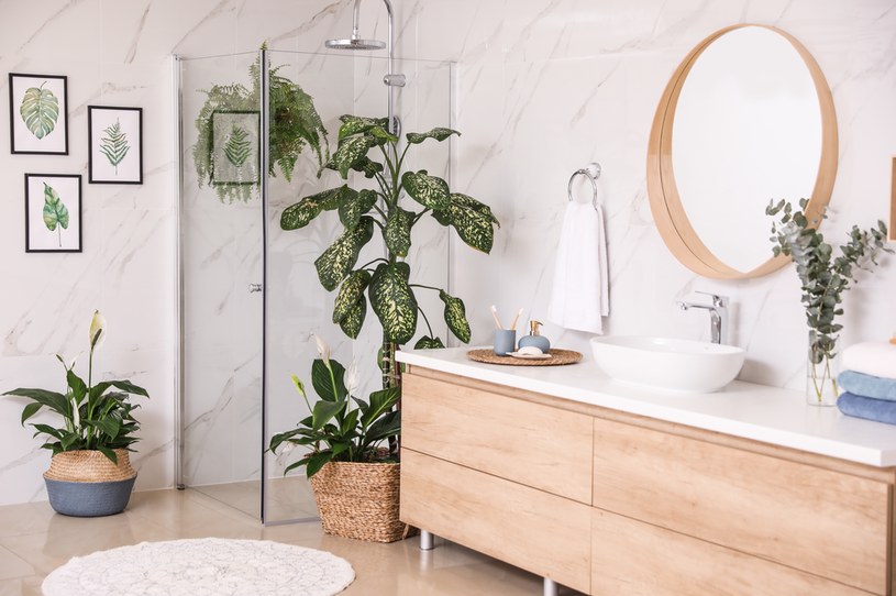 Rośliny w łazience stanowią stylową i naturalną dekorację. /123RF/PICSEL