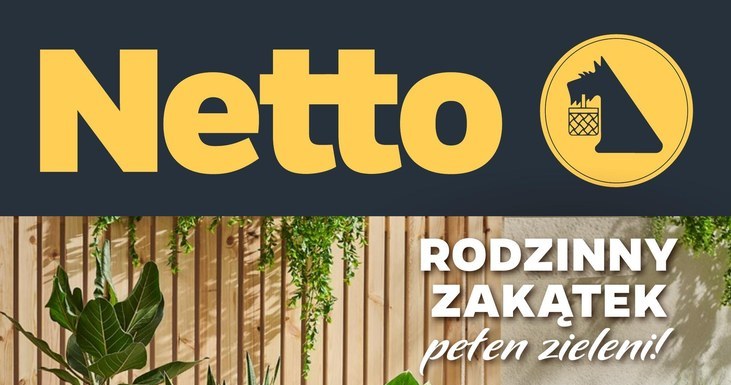 Rośliny w nich wyglądają obłędnie. Doniczki w Netto dostaniesz teraz w gratisie! /Netto /INTERIA.PL