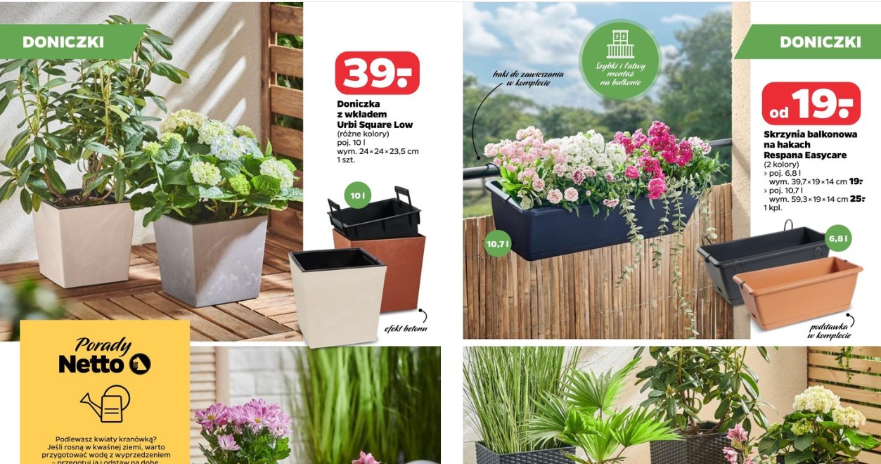 Rośliny w nich wyglądają obłędnie. Doniczki w Netto dostaniesz teraz w gratisie! /Netto /INTERIA.PL