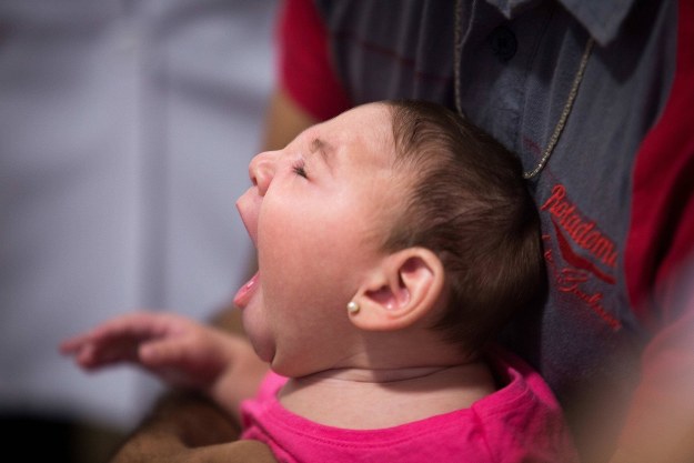 Rosną szanse na szczepionkę przeciw wirusowi Zika