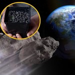 Rośnie jak na asteroidzie? Naukowcy chyba przesadzili